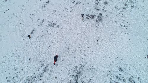 Horse Sledding in Winter Landscape, Aerial View