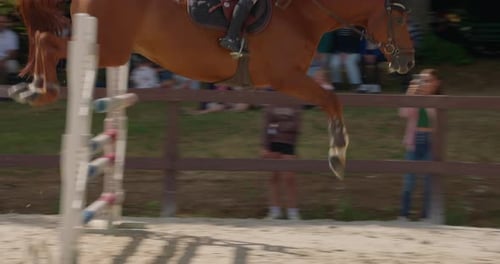 Horse and Rider Jumping Over Obstacles at Competition
