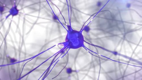 Células nervosas, sinapses e axônios transferem sinais e impulsos entre si