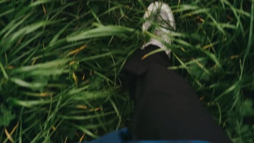 Pov View Woman Legs in White Sneakers Walking By the Green Grass Meadow in the Mountain Forest