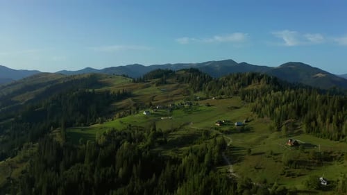 Forest Landscape With Snowy Mountain Peaks