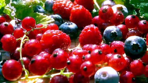 Fresh Red and Blue Berries with Water Droplets
