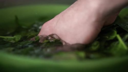 Caucasian male hand washes green baby leaf spinach in green bowl filled with water
