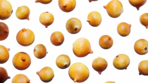 Realistic Rotating Onions Falling on White Background