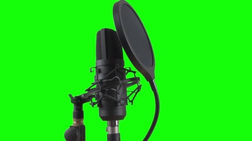 Black microphone on a stand