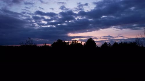 Forest At Sunset Background