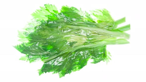 Close Up of Celery Wrapped in Plastic