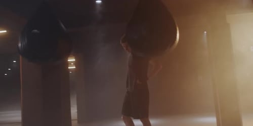 Young Boxer