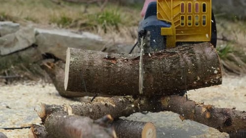 A Man Using a Chainsaw to Cut a Log or Tree
