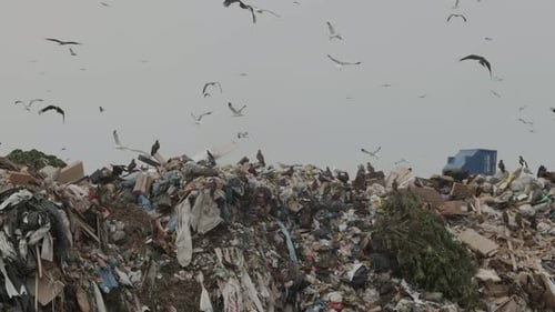 Müllberge auf einer offenen Mülldeponie Umweltverschmutzung und globale Erwärmung