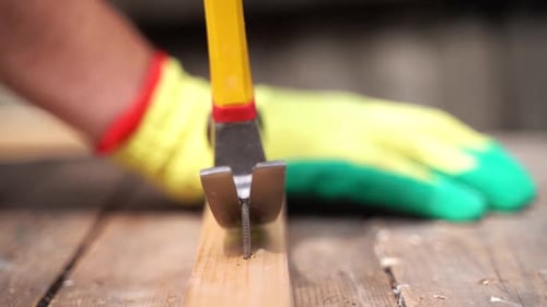 Close Up Remove a Nail With a Claw Hammer