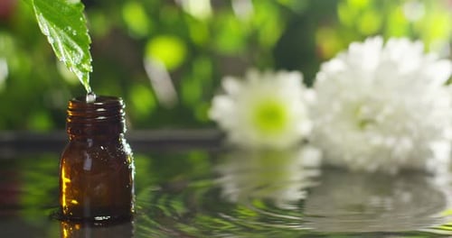 blend of essential oils with water drops, scents and aromas in aromatherapy for wellness and spa.
r