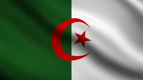 Realistic Waving Algerian Flag Loop