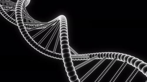 Animated DNA Double Helix Rotation for Scientific Projects