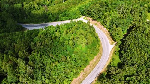 Winding road through lush green forest. A scenic winding road curves through dense greenery