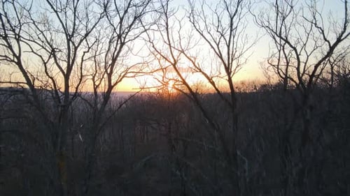 Aerial View of the Beautiful Autumn Forest at Orange Sunset in Spring Morning Aerial View Drone