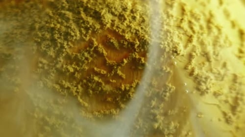 Abstract Gold Texture with Flowing Smoky Haze