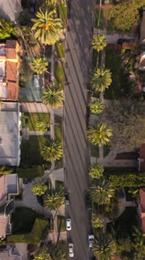 An Aerial View Showcases a Picturesque Neighborhood in Beverly Hills California