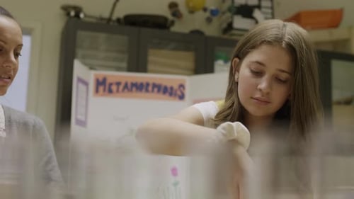 Expérience en laboratoire de sciences du premier cycle