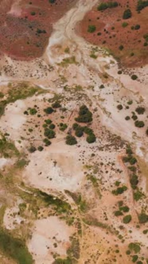 Overhead Desert Landscape with Sandy Earth and Shrubs