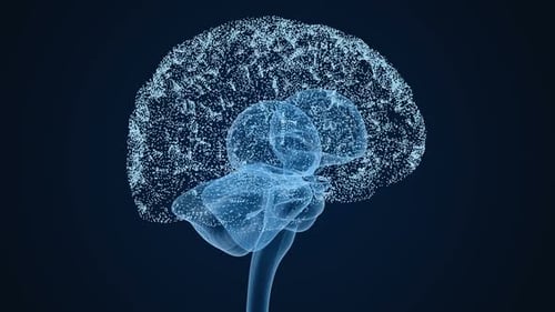 Human brain from dots 3d concept, 3D Animation.