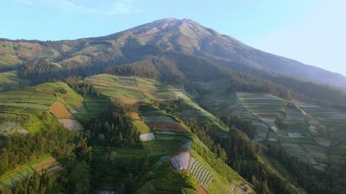 tropische ländliche Landschaft
