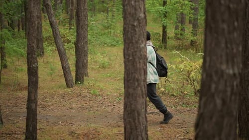Entdecker unter Bäumen Wanderer bewegt sich durch den Wald Wanderer navigiert sicher durch hohe Kiefernwälder