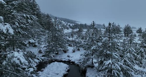 An Aerial View of a Frozen River Flowing Through Snowcovered Forests on a Cloudy Sunset Sky