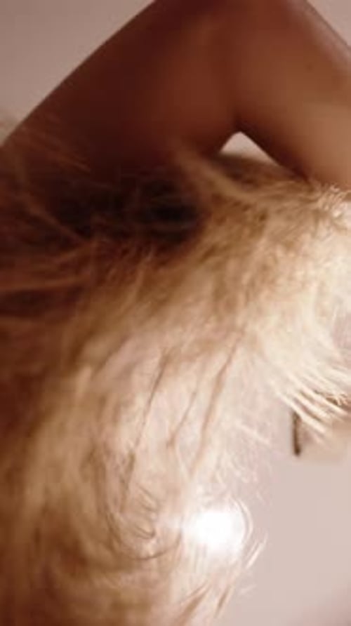 Woman Dries Long Hair with a Hair Dryer