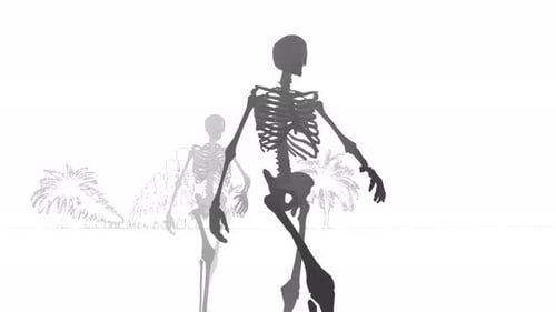 Skeleton Animation white background