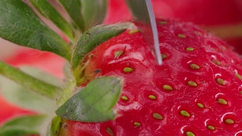 photo de fraises coupées en