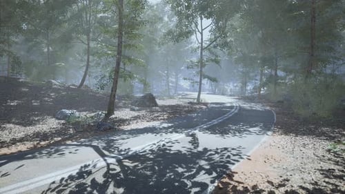 Serene Winding Road Through the Forest in Soft Morning Light and Mist
