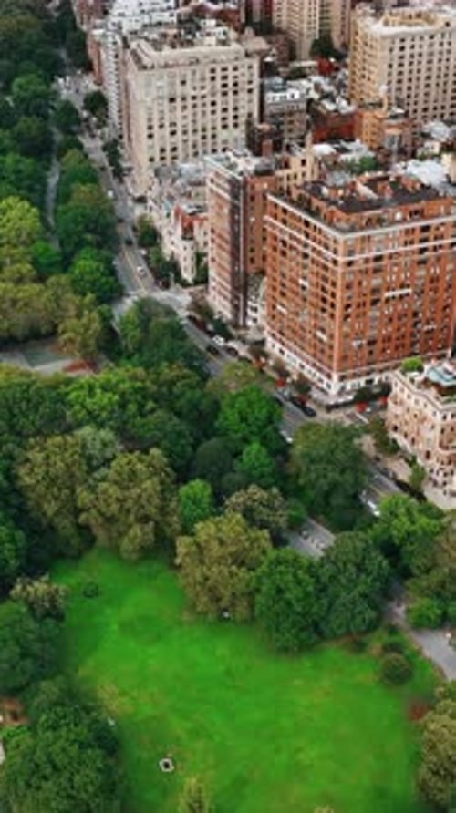 Multi-lane road going along green park. View of New York from bird eye perspective. Vertical video