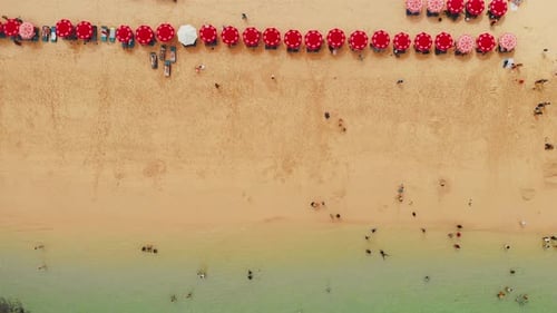 Top Aerial View on Sandy Ocean Shore with Resting Tourists and Beach Umbrellas Turquoise Water in
