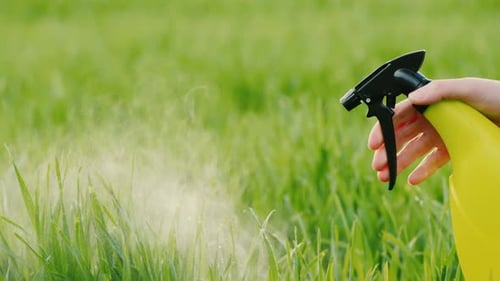 Spray with Liquid Green Lawn