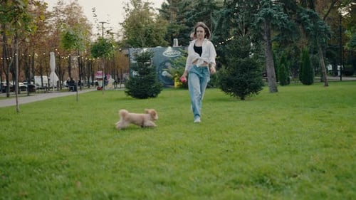 Woman and Her Fluffy Dog Playing Fetch in a Green Park