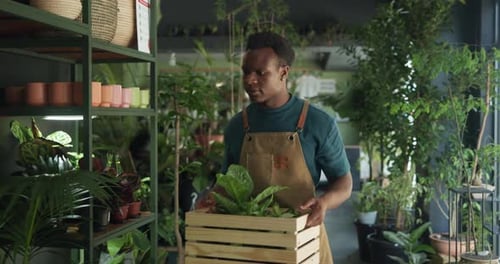 Gardening, plants and black man with box in store for environment, greenhouse and nursery