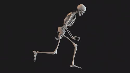 Skeleton Clumsy Walk Fahrradtour 01