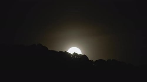 Full Moon Rising Behind Tree Silhouette at Night