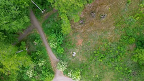A top-down aerial view of a lush green forest with winding dirt paths cutting through dense trees