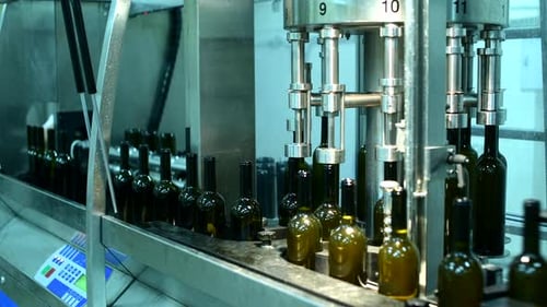 Wine Bottle Conveyor System Efficiently Filling and Packaging at a Production Facility