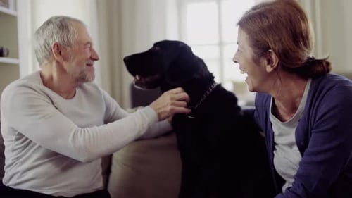 Senior Couple Petting Black Dog on Sofa