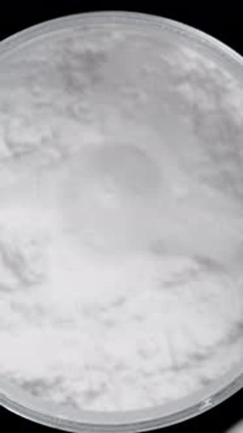 Vertical video. The camera descends from above as I unscrew the lid of the jar and scoop