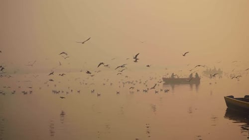 Indina People Riding Boat in Morning at Yamuna River