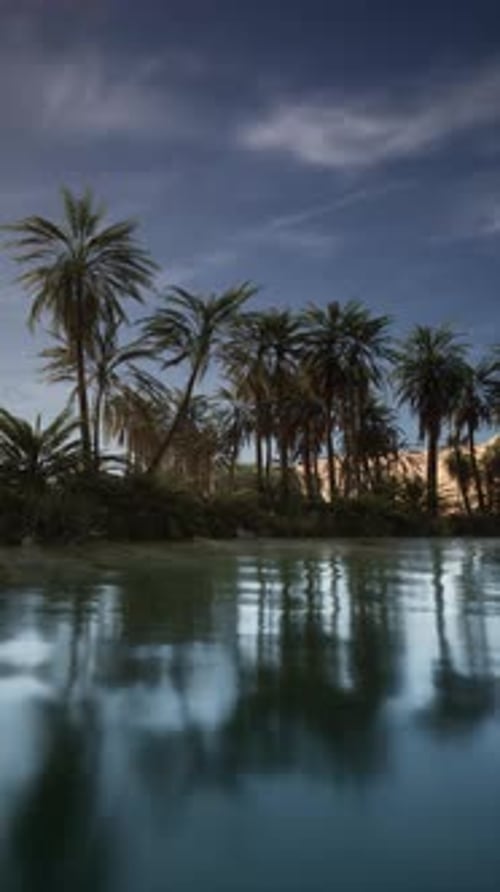 Tropical Oasis Body of Water Surrounded By Palm Trees