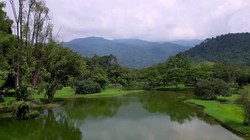Taiping lake with a forest in the background