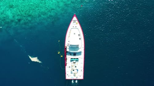 Aerial Top View of the White Boat of Local Fishermen and the Turquoise Sea with Coral Reef in the