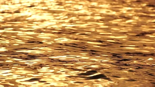 Blurred Golden Sea at Sunset with Shifting Focus and Bokeh Effect Sun Reflects and Sparkles on Waves
