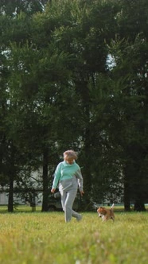 Morning Park Walk Casual Outdoor Walk with Senior Lady and Dog Amid Nature Relaxed Morning Walk