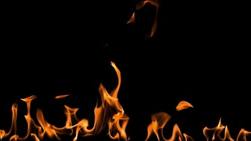 Brandpartikel im Hintergrund. Feuer & Flammen.